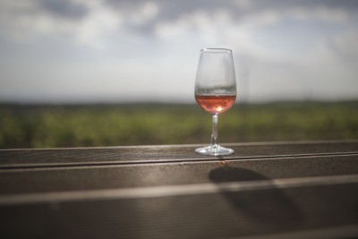 Italy's wine exports reached record levels in 2021 Italy's wine exports reached record levels in 2021