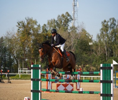 Equestrian: Sehaj Singh Virk wins Show Jumping title Equestrian: Sehaj Singh Virk wins Show Jumping title