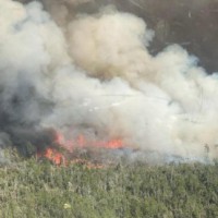 Fast-spreading Florida wildfires lead to evacuation