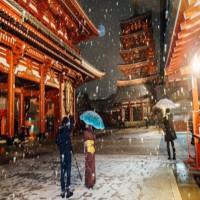 Japan to further ease Covid border controls