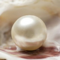 Archaeologists find over 6,500-yr-old pearl bead in Qatar grave