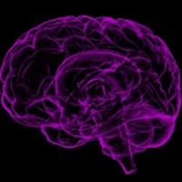 Even mild Covid can shrink brain regions related to smell: Study