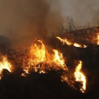 171 wildfires burning across Florida