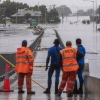 Australian floods could cause Japanese encephalitis surge: Expert