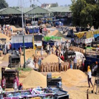731.53 LMT paddy procured benefitting 103.40 lakh farmers: Govt