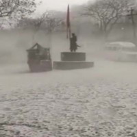 Heavy rains, hailstorm damage standing crops in Rajasthan