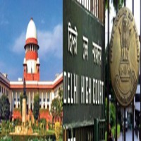 SC stays Delhi HC order holding stray, street dogs have right to food
