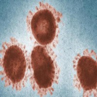 Cancer drugs might be able to target tuberculosis