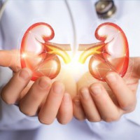 Long-term use of painkillers can damage kidneys: Experts