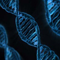 Single test for over 50 genetic diseases to make diagnosis quicker