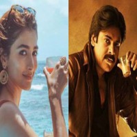 Pooja Hegde to be part of Pawan Kalyan's 'Bhavadeeyudu Bhagat Singh'?