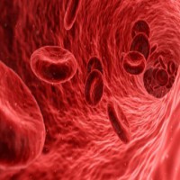 Researchers re-engineer red blood cells to trigger immune system against Covid
