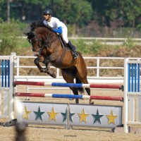 Asian Games: EFI set to hold 4th selection trials for show jumping team