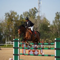 Equestrian: Sehaj Singh Virk wins Show Jumping title