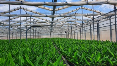 Agri-tech startup OneBasket to unveil two new offices Agri-tech startup OneBasket to unveil two new offices