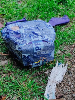 IED detected in J&K's Pulwama IED detected in J&K's Pulwama
