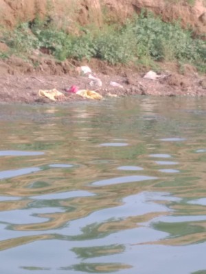 Plea in SC seeking probe into recovery of bodies from Ganga Plea in SC seeking probe into recovery of bodies from Ganga