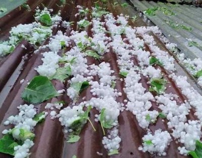Hailstorm affects J&K orchardists, vegetable growers