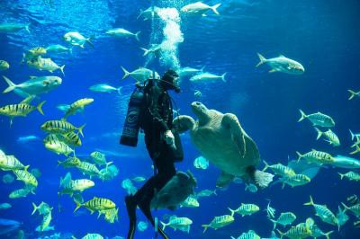 Ocean Dialogues 2021 to focus on climate, food, nature Ocean Dialogues 2021 to focus on climate, food, nature
