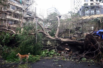 Cyclone Tauktae brings record May rains, leaves trail of destruction in Maha Cyclone Tauktae brings record May rains, leaves trail of destruction in Maha