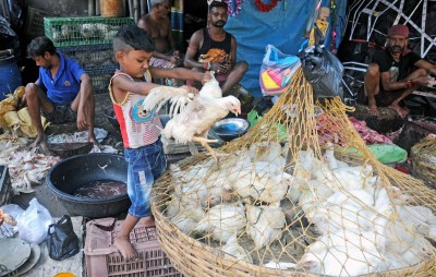 K'taka: Poultry farmers urge govt to extend timings of chicken shops K'taka: Poultry farmers urge govt to extend timings of chicken shops