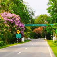 Assam govt revisits strategies to protect Kaziranga National Park from poachers, floods