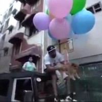 Delhi youTuber arrested for making dog fly with helium balloons
