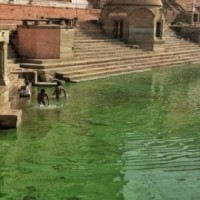 Ganga goes green in Varanasi