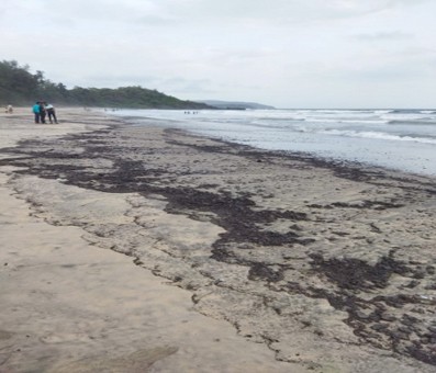 Caution against walking barefoot on Goan beaches Caution against walking barefoot on Goan beaches