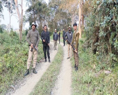 Poachers kill 3 cops in MP Poachers kill 3 cops in MP
