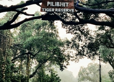 UP minister's aides create ruckus in Pilibhit Tiger Reserve UP minister's aides create ruckus in Pilibhit Tiger Reserve