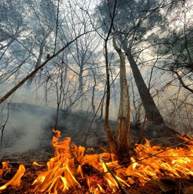 6,000 evacuate as wildfires continue spreading in US's New Mexico 6,000 evacuate as wildfires continue spreading in US's New Mexico