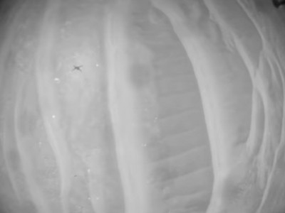 NASA's Ingenuity Mars helicopter captures record-breaking flight video NASA's Ingenuity Mars helicopter captures record-breaking flight video