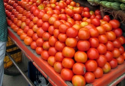 TN introduces mobile processing units in tomato hub Dharmapuri TN introduces mobile processing units in tomato hub Dharmapuri