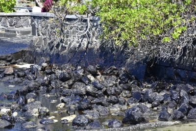 Mexican scientists develop new technology to clean up oil spills Mexican scientists develop new technology to clean up oil spills