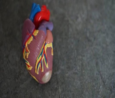 Covid caused collateral damage to global cardiac services: Study Covid caused collateral damage to global cardiac services: Study