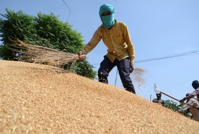 Centre bans wheat export Centre bans wheat export