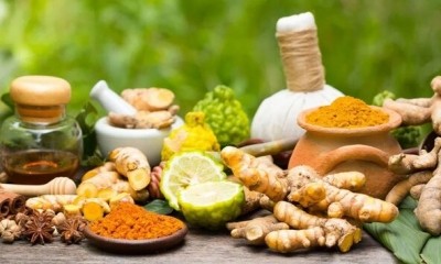 MoU inked to explore biotechnological interventions in Ayush sector MoU inked to explore biotechnological interventions in Ayush sector