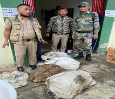468 exotic animals seized in Mizoram, 5 held 468 exotic animals seized in Mizoram, 5 held
