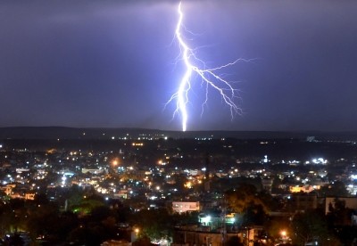 Lightning kills 250 sheep in J&K's Anantnag Lightning kills 250 sheep in J&K's Anantnag