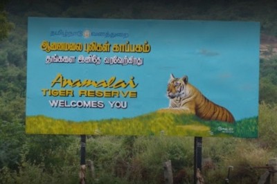 TN tribal hamlet in 'dark' as Tangedco insists payment from forest dept TN tribal hamlet in 'dark' as Tangedco insists payment from forest dept