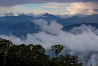 Call to set date for UN nature summit delayed 4 times Call to set date for UN nature summit delayed 4 times