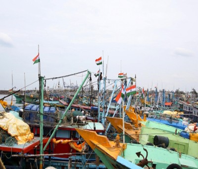 119 unregistered vessels found in annual inspection of TN fisheries department 119 unregistered vessels found in annual inspection of TN fisheries department
