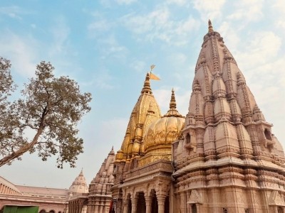 Plantation drive proposed for KVT complex in Varanasi Plantation drive proposed for KVT complex in Varanasi