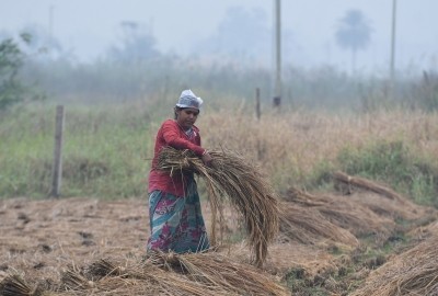 Unseasonal rains hit hard Telangana paddy farmers Unseasonal rains hit hard Telangana paddy farmers