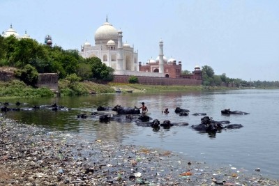 Has Agra lost the battle against pollution? Has Agra lost the battle against pollution?