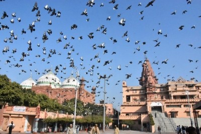 Mathura court allows petition seeking removal of Shahi Idgah Mathura court allows petition seeking removal of Shahi Idgah