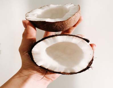 Can't interfere in how to conduct 'puja', break a coconut: SC Can't interfere in how to conduct 'puja', break a coconut: SC