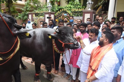 'Baahubali', 'Shahrukh' hog limelight at Hyderabad's buffalo carnival 'Baahubali', 'Shahrukh' hog limelight at Hyderabad's buffalo carnival