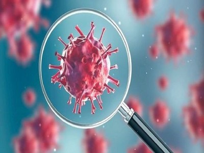 In a first, Alpha variant of Covid detected in pets: Study In a first, Alpha variant of Covid detected in pets: Study